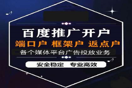 搜索引擎营销（SEM）的投放策略与效果评估——以某行业领先企业的案例分析